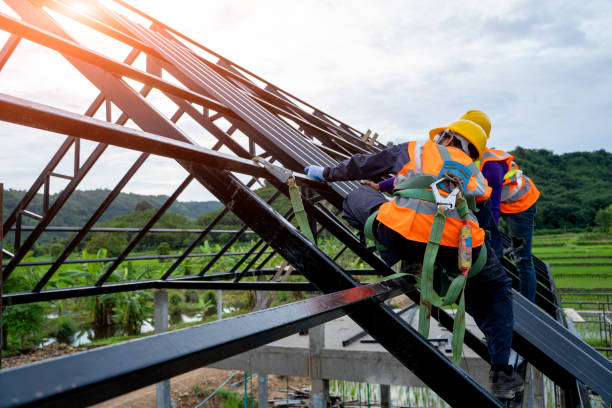 Best Roof Maintenance Services  in Santa Paula, CA