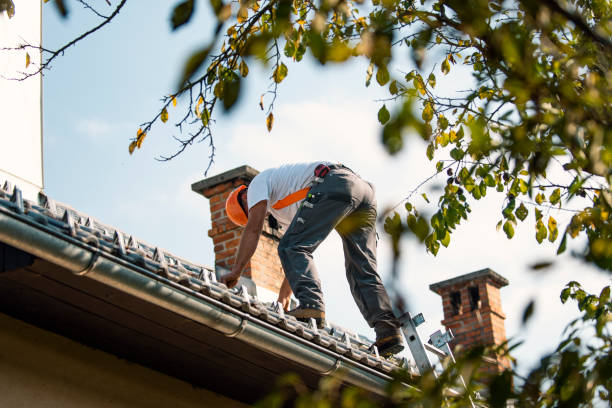 Best Roof Waterproofing Services  in Santa Paula, CA