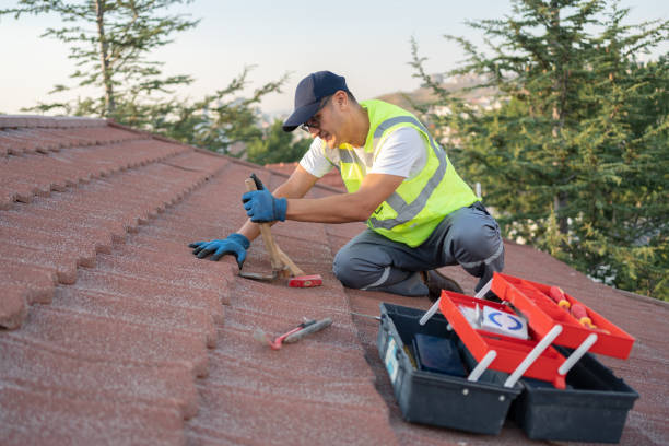 Best Commercial Roofing Services  in Santa Paula, CA
